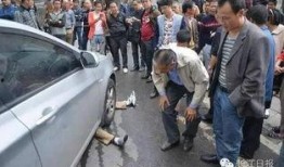 海丰爆料网碰瓷新闻最新,真相与反思