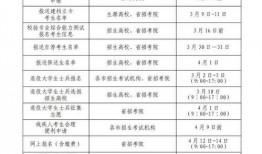 山东专升本最新爆料,2024年政策调整与热门专业解析