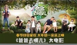 大爸爸电影在线观看,温情回忆，家庭情感之旅