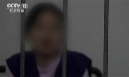 郑州猪肉爆料事件始末视频,真相与争议的漩涡