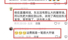 爆料大鹅解说视频全集,揭秘游戏幕后故事与精彩瞬间