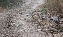 全州咸水乡村爆料案件最新,揭开神秘面纱，探寻真相背后