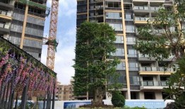 石家庄天苑爆料最新消息,揭秘神秘事件背后的真相