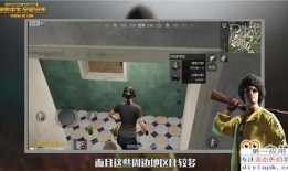 视频爆料技巧大全图片,图片解析版大全