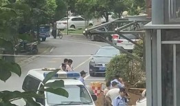 网友爆料小区事件视频大全,网友爆料事件视频大盘点