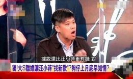 汪小菲被爆料视频在线看,揭秘背后真相