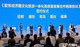 新星集团爆料新闻,揭秘企业内部重大新闻事件