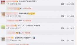 演员爆料家暴视频大全最新,演员揭露家暴内幕，视频大全揭露惊人真相