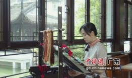 老司机横店爆料视频播放,老司机爆料视频背后的精彩瞬间