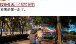 井柏然和刘雯爆料视频,揭秘娱乐圈幕后故事