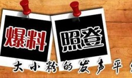 武汉新闻平台爆料,重大事件引发社会关注