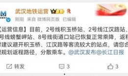武汉极目新闻爆料,揭秘背后惊人真相