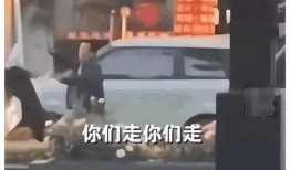 女律师被锤的爆料视频