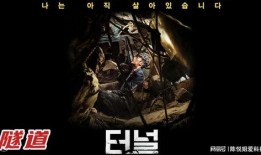 电影隧道在线观看,电影隧道在线观看之旅