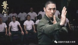 电影叶问1在线观看,拳拳到肉，传承国术的传奇故事