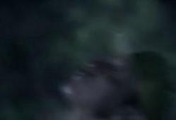 在线观看风影,探寻东方武侠世界的奇幻之旅