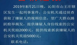 刑事案件爆料视频播放网站,刑事案件爆料视频网站内幕曝光