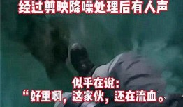 黑龙江都市爆料事件视频,揭秘惊人事件真相