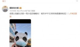 直播八卦爆料合集视频,热门事件幕后真相大起底