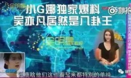 各种爆料小视频大全集免费观看,免费观看尽在指尖