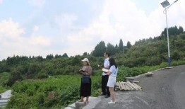 全州咸水乡村爆料案件最新,揭开神秘面纱，探寻真相背后