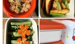 冷冻便当爆料视频大全集,视频大全集深度解析