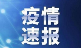 澳门新冠最新爆料新闻视频,视频揭露疫情背后真相