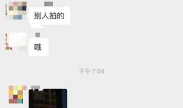 平湖最新爆料事件视频,视频揭露惊人真相，事件背后有何隐情？