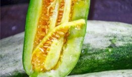 网红斌子吃瓜,揭秘娱乐圈幕后真相