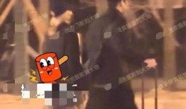 百兽大瓜爆料视频,视频内容深度解析