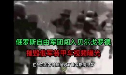 最新俄罗斯爆料视频播放,最新俄罗斯爆料视频揭示惊人内幕