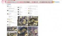 姐弟恋爆料官宣视频在线观看,甜蜜互动引网友热议