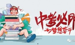 石家庄鸡肉爆料最新消息,真相与影响揭秘