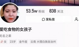 新晋网红爆料视频大全,揭秘网络红人幕后故事