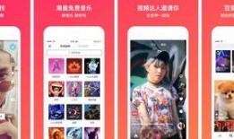 今日头条鬼话爆料视频大全,视频大全背后的惊悚故事