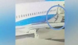 厦门航空空姐被爆料视频,服务细节引关注