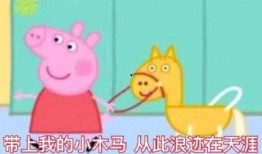 网红小猪爆料视频大全播放,揭秘网络红人幕后故事