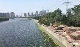 滕州小清河跳河最新爆料,揭秘真相与救援行动”