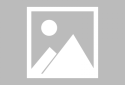 火影爆料谁最快啊视频在线观看,揭秘忍者世界速度之王，谁最快？