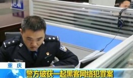 重庆黑客爆料案件最新情况,揭秘网络犯罪黑幕