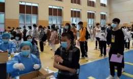 湖南工厂爆料案件最新消息,揭露真相与调查进展