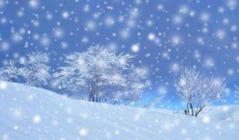视频爆料雪花飘飘,揭秘视频爆料背后的故事