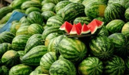 网红斌子吃瓜,揭秘娱乐圈幕后真相