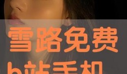 雪路免费在线观看,免费在线观看，探寻冬日里的温暖旅程