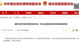 湖北最新爆料消息视频,揭秘神秘视频背后的惊人真相