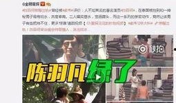 天涯爆料吴启楠视频大全,吴启楠视频大全揭秘