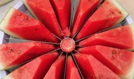 国外免费吃瓜大赛,揭秘免费吃瓜大赛的盛况与趣味