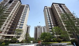 石家庄天苑爆料最新消息,揭秘神秘事件背后的真相