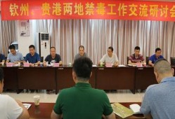 贵港最新爆料消息新闻网,揭秘重大事件背后真相！