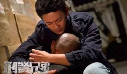 刑警兄弟在线观看,在线追凶，正义之战